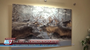 Dve výstavy koncom roka 2019