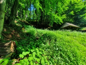 Foto: 3 studničky, zdroj PR